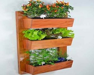 Schönes Raumklima durch einen hängenden Garten