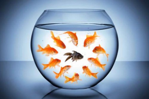Toxische Wörter und Fische im Glas