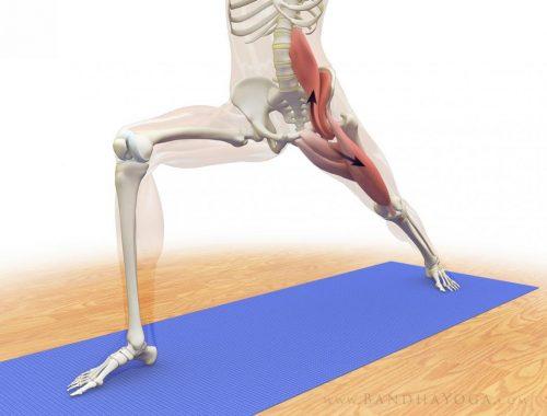 Diese Yogaübungen helfen, den Psoas major zu unterstützen.