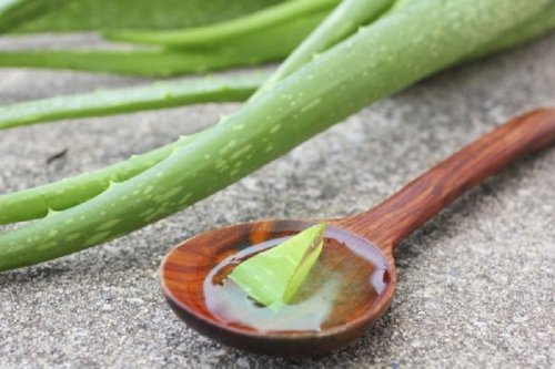 Aloe vera und Natron gegen übermäßiges Schwitzen