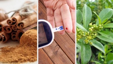 5 Arzneipflanzen gegen Diabetes
