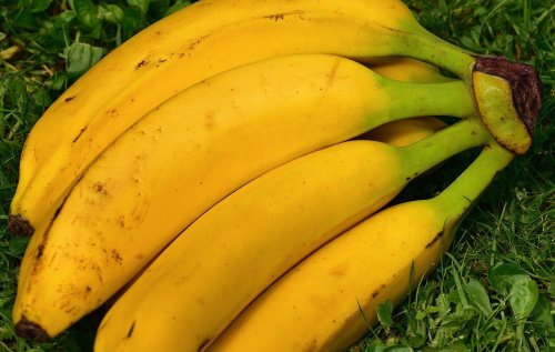 Bananen, die glücklich machen