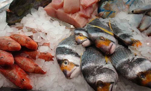 Fisch in der Ernährung für gute Blutwerte