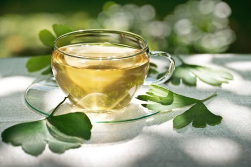 Ginkgo biloba gegen Makuladegeneration