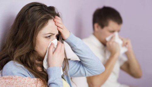 Mann und Frau nutzen Heilwirkung von Koriander gegen Grippe