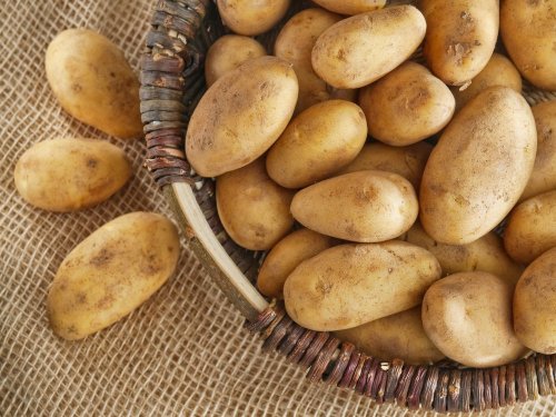 Kartoffeln und Mangold zur Behandlung bei Hämorrhoiden
