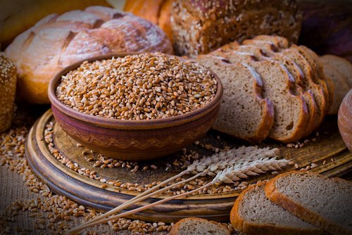 Vollkornbrot um Gallensteinen vorzubeugen