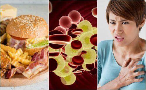 Hoher Cholesterinspiegel: Tipps, wie du ihn senken kannst