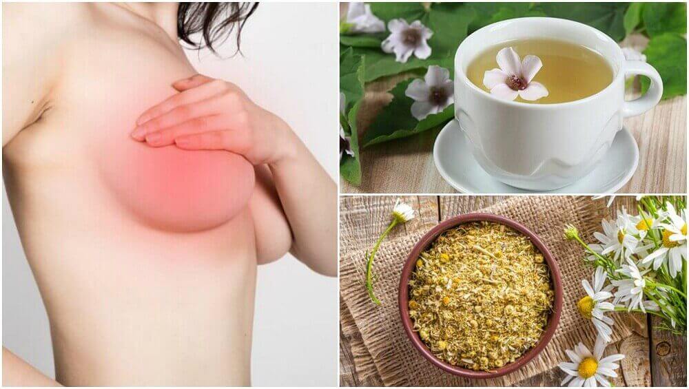 5 natürliche Heilmittel gegen Brustschmerzen bei Frauen