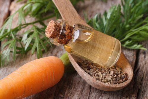 Karottenöl für gesundes Haar
