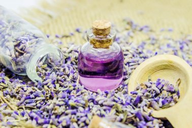 Herstellung und Anwendung von ätherischem Lavendelöl