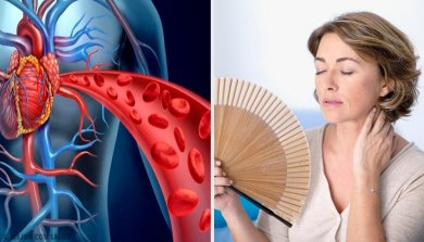 Herzgesundheit nach den Wechseljahren