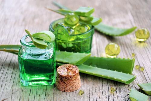 Nahrungsmittel gegen Magengeschwüre-Aloe Vera