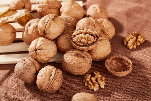 Warum Nüsse gut für den Magen sind und weitere Fakten
