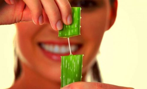 Aloe Vera-Maske für die tägliche Haarpflege