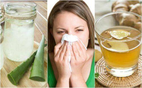 5 natürliche Heilmittel gegen allergischen Schnupfen
