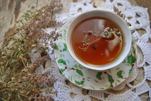 Die gesundheitlichen Vorteile von Thymiantee und wie du ihn trinken solltest