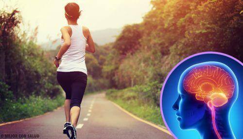 Zu wenig Sport: So verändert sich dein Gehirn