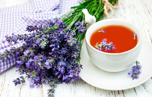 Lavendel - Nervosität und innere Unruhe