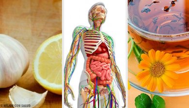 6 natürliche Mittel zur Entgiftung des Lymphsystems