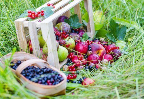 Lebensmittelo, die Kollagen spenden: Beeren