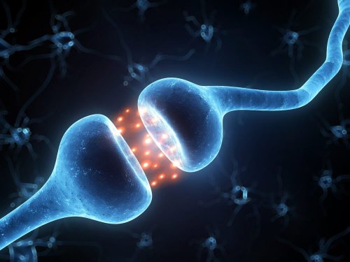 Der Wirkungsmechanismus von Botulin