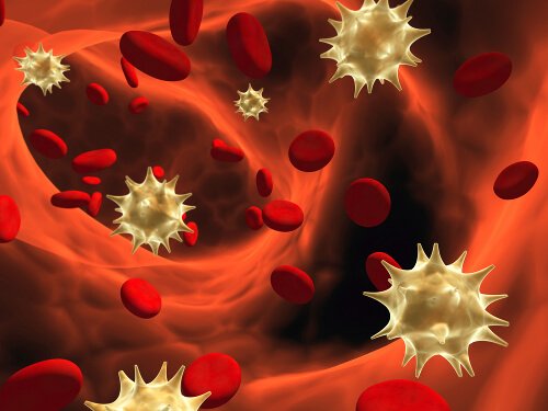 Gesunde Marmelade für ein gutes Immunsystem.