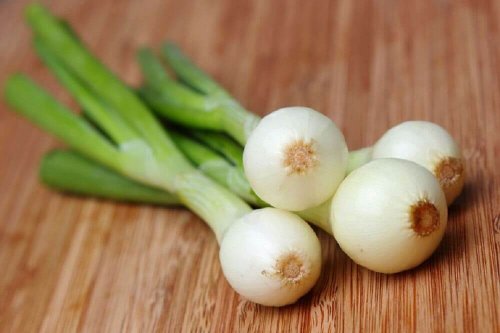 Tee aus Frühlingszwiebeln gegen Harnsäurekristalle