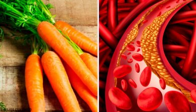 Natürliche und einfache Methoden zur Regulierung des Cholesterinspiegels