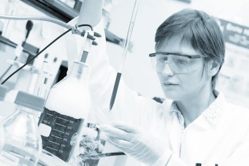 Wissenschaftler nutzen Stammzellen