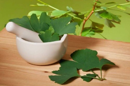 aphrodisierende Hausmittel beinhalten Ginkgo