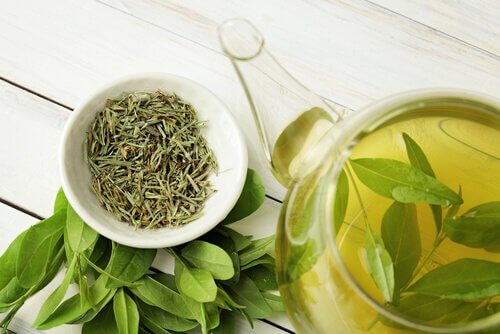 Grüner Tee hilft bei einer Leberentzündung