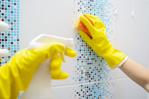 Natürliche Rezepte, um Ablagerungen im Badezimmer loszuwerden