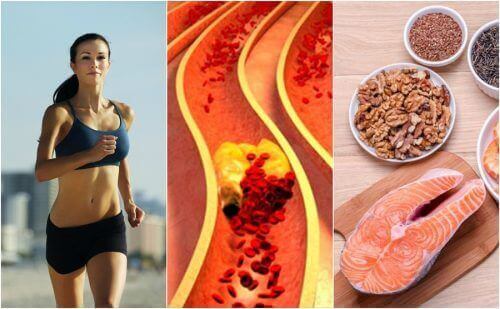 6 Gewohnheiten, um Cholesterin natürlich zu kontrollieren
