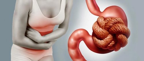 Das Superfood Trockenpflaume als Abführmittel
