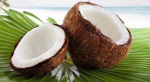 gesunde Desserts mit Kokosnuss