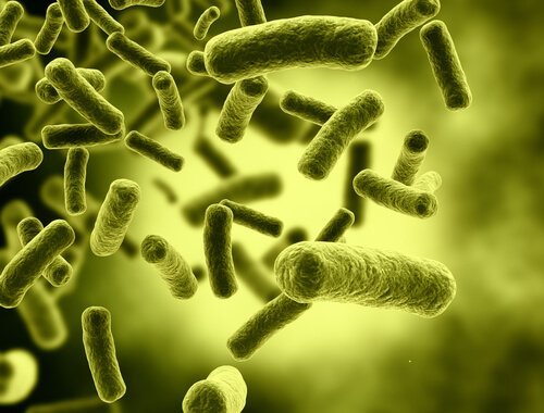 Rheumatoide Arthritis natürlich behandeln