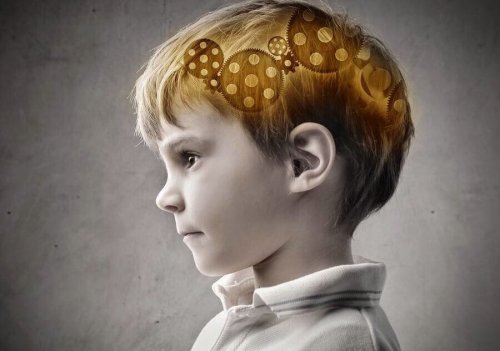 Welcher prozentuale Anteil der Intelligenz wird von der Mutter vererbt