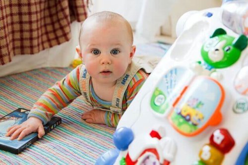 Die Intelligenz wird von der Mutter vererbt, aber auch die Selbstständigkeit spielt eine Rolle