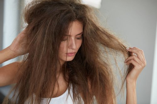 Masken mit Ei für trockenes Haar