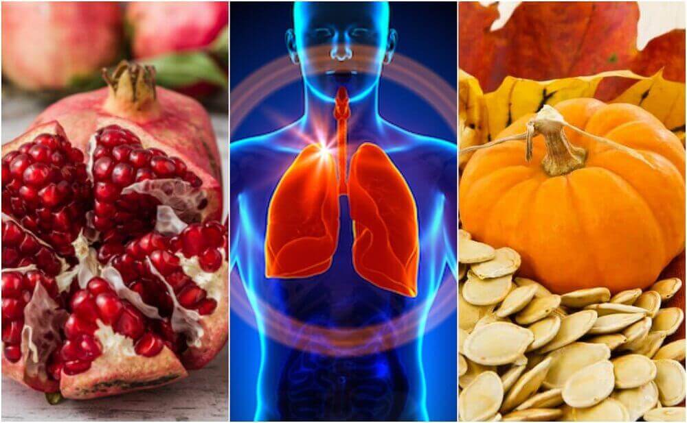 Verbessere deine Lungenfunktion mit diesen 6 Lebensmitteln