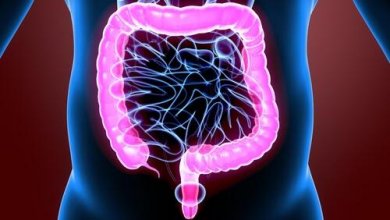Die faszinierende Physiologie des Dickdarms