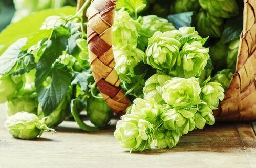 Blumen passen zum Vintagestil