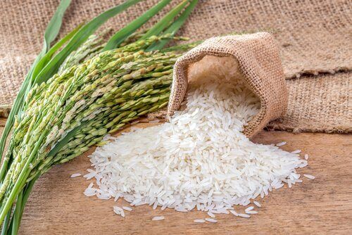 Reispeelings aus Reis, Honig und Bio-Milch