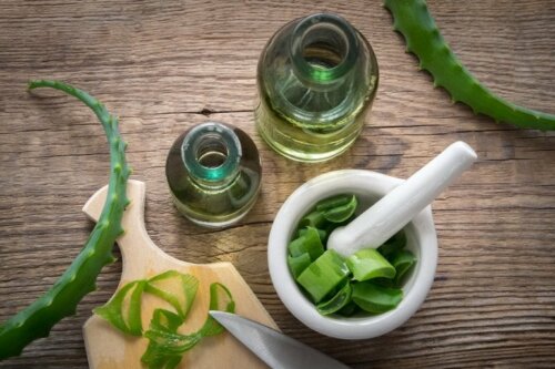 Aloe vera gegen Kopfpilz
