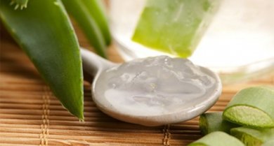 Aloe vera gegen Haarverlust