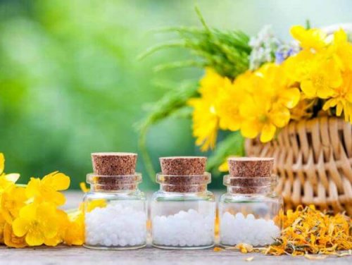 Arnika zur Behandlung von Phlebitis