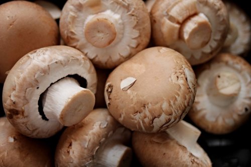 Champignons im Ofen zubereiten