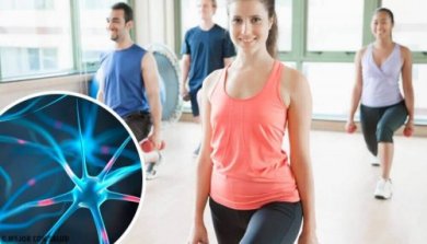 6 Tipps für ein gesundes und fittes Gehirn
