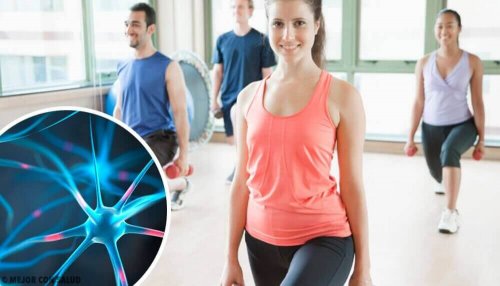 6 Tipps für ein gesundes und fittes Gehirn